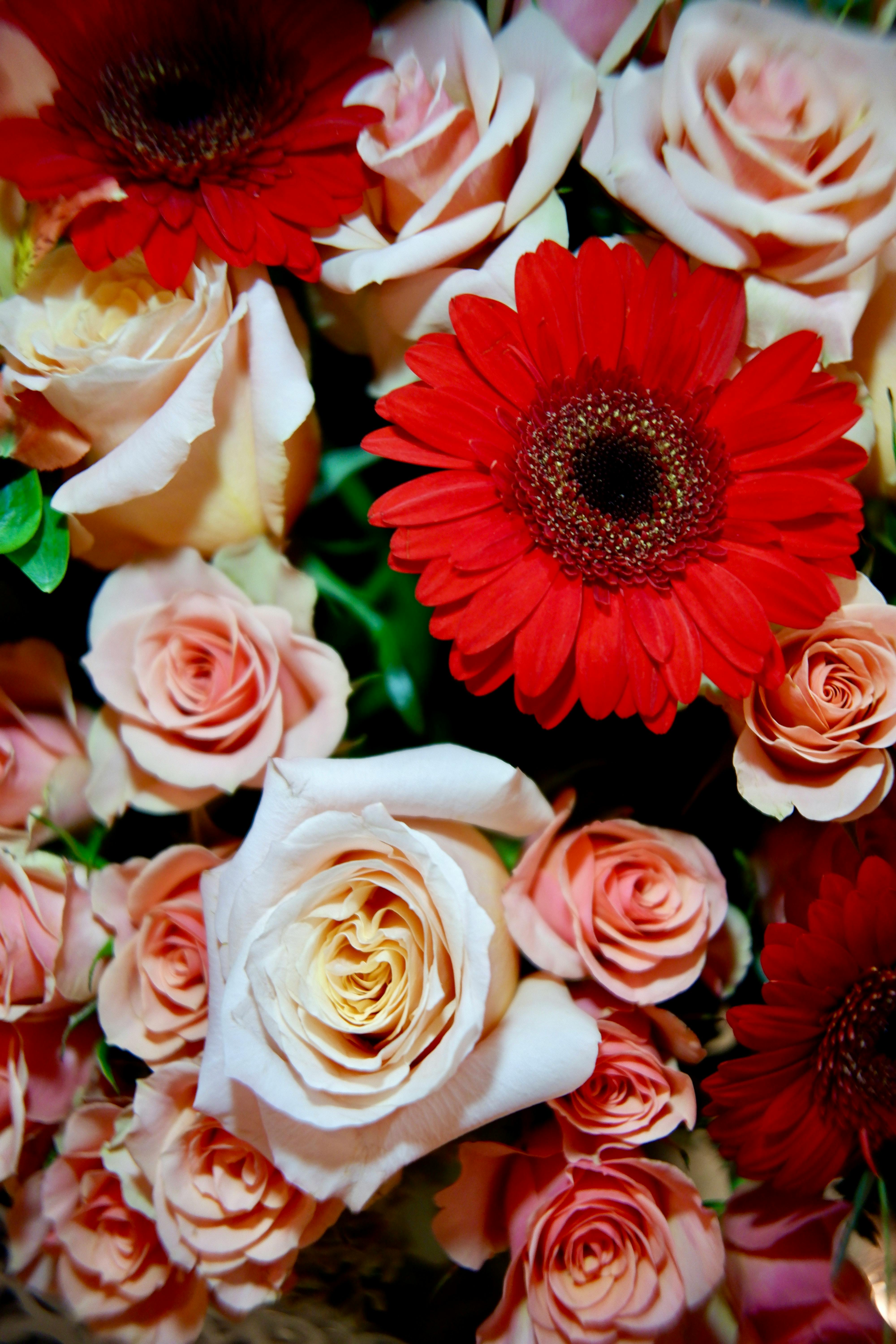 Anniversary Arrangement